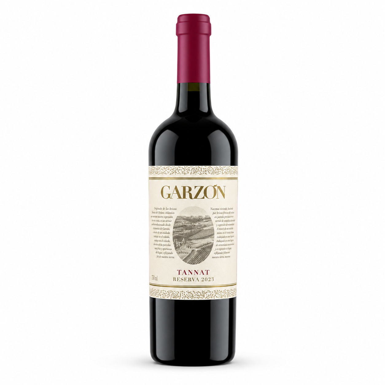 Garzón Reserva Tannat